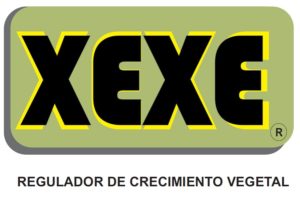 XEXE-logo-un-producto-que-distrubuye-Factor-Orgánico.jpg